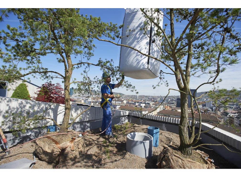 Dachgartensubstraht einbauen