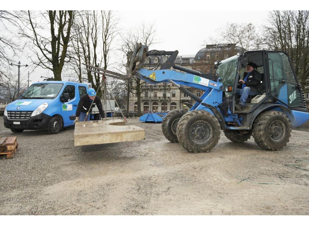 Baum pflanzen Bauschänzli Zürich