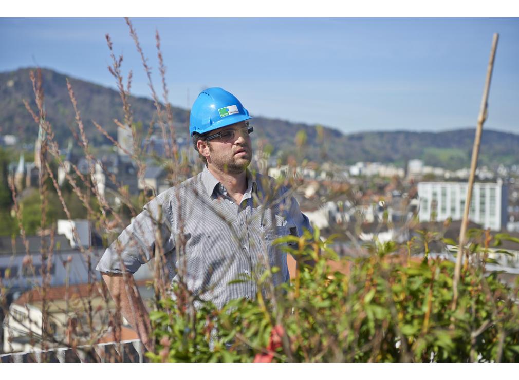 Dachgarten bepflanzen