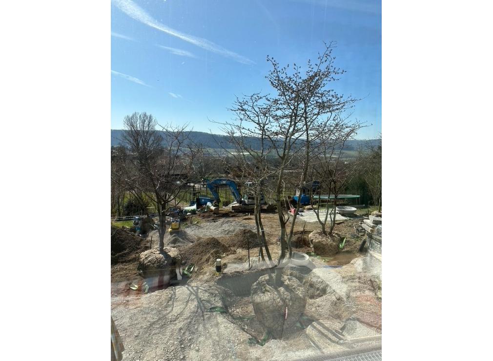 EFH Garten im Furttal