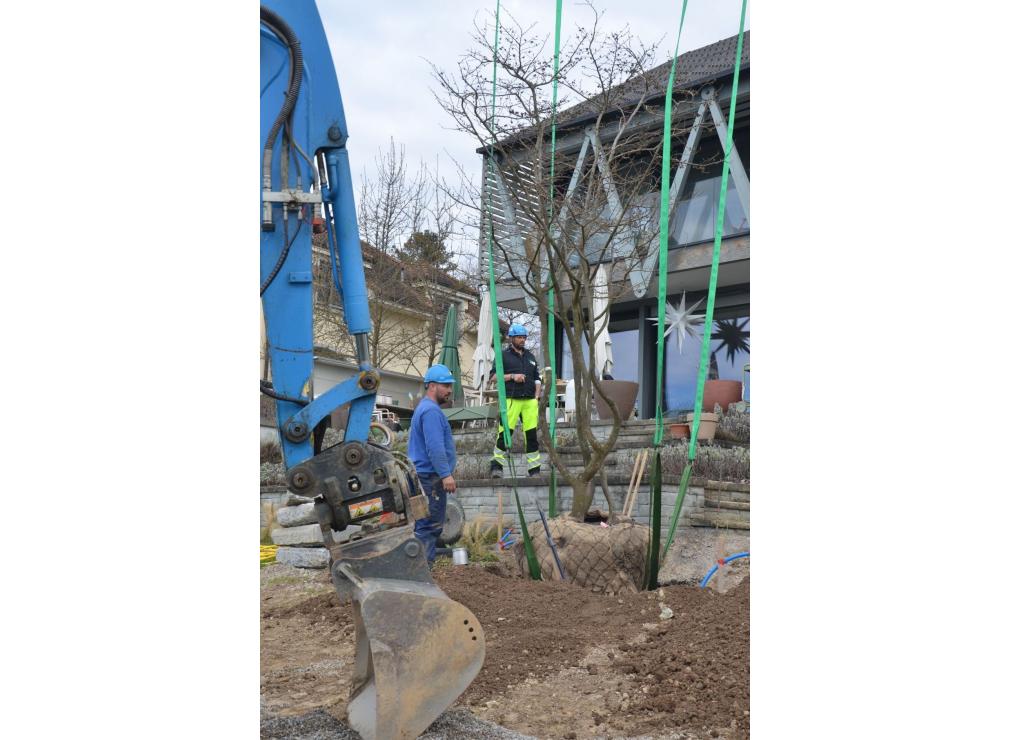 EFH Garten im Furttal