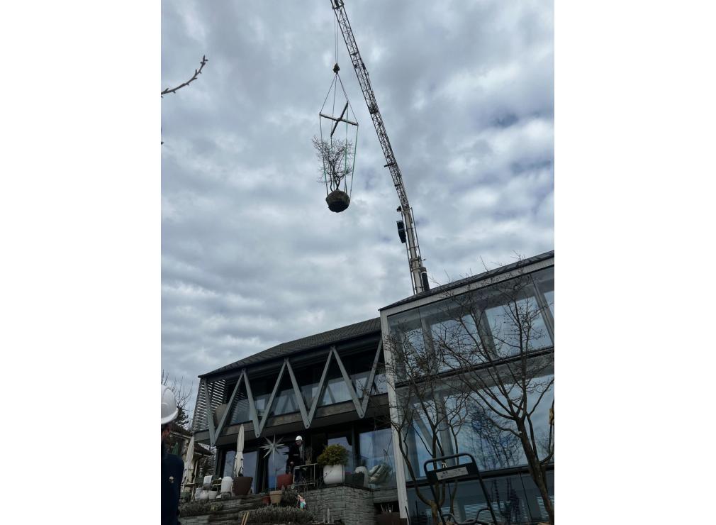 EFH Garten im Furttal