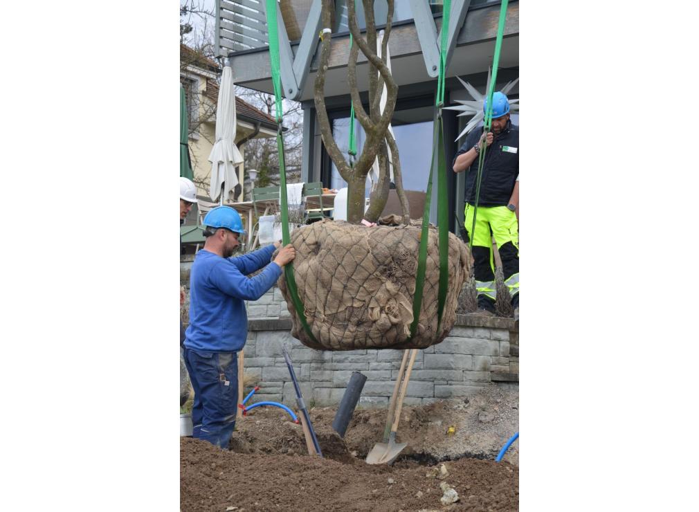 EFH Garten im Furttal