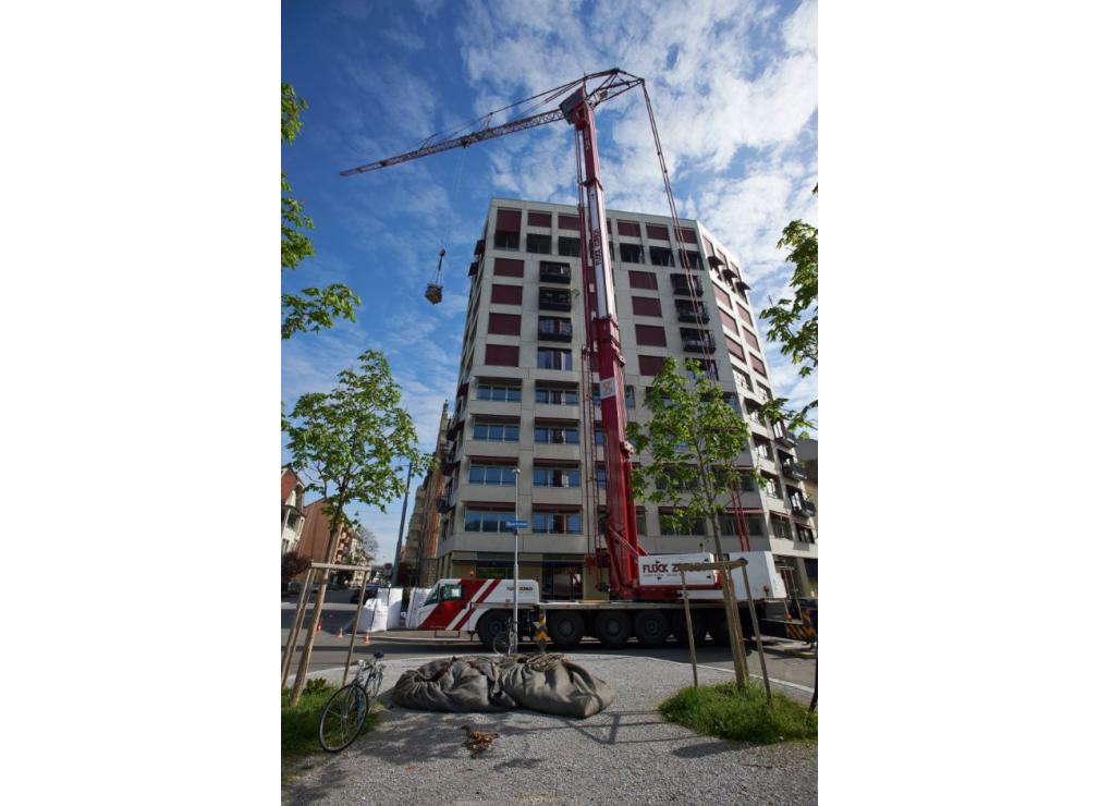 Dachgarten bepflanzen
