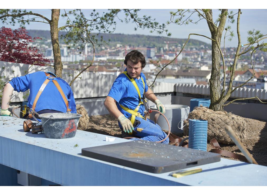Dachgarten bepflanzen