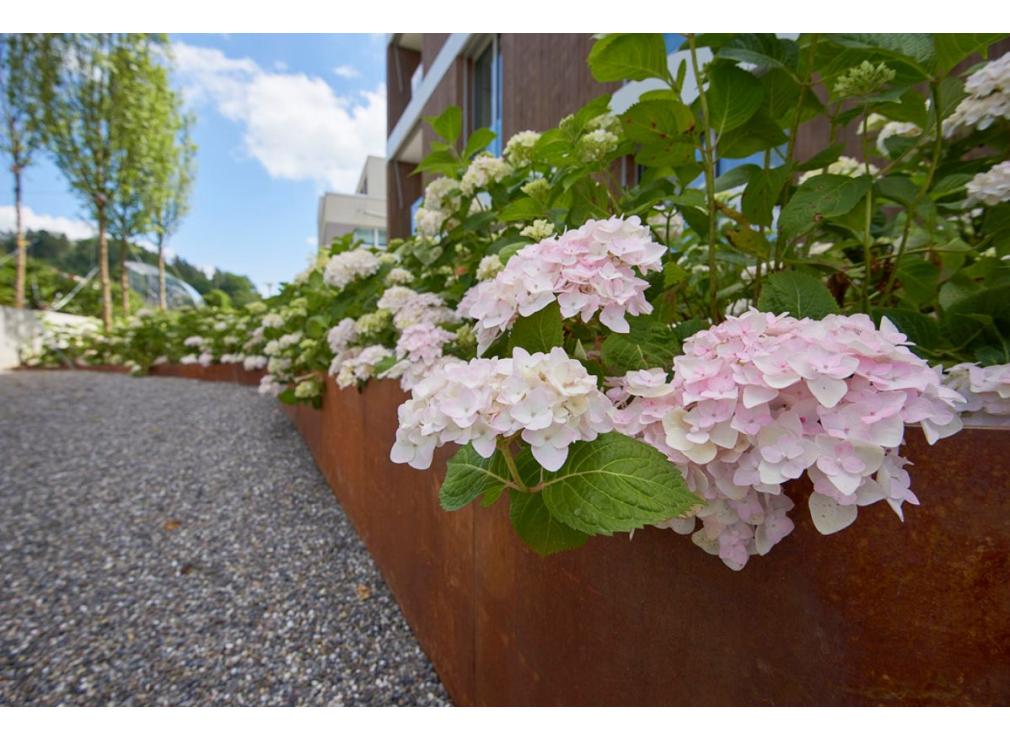 Garten von Mehrfamilienhaus in Zürich-Witikon