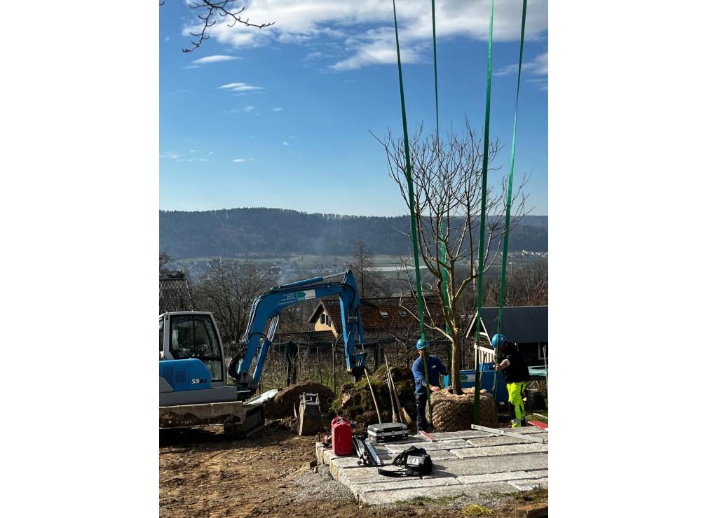 EFH Garten im Furttal