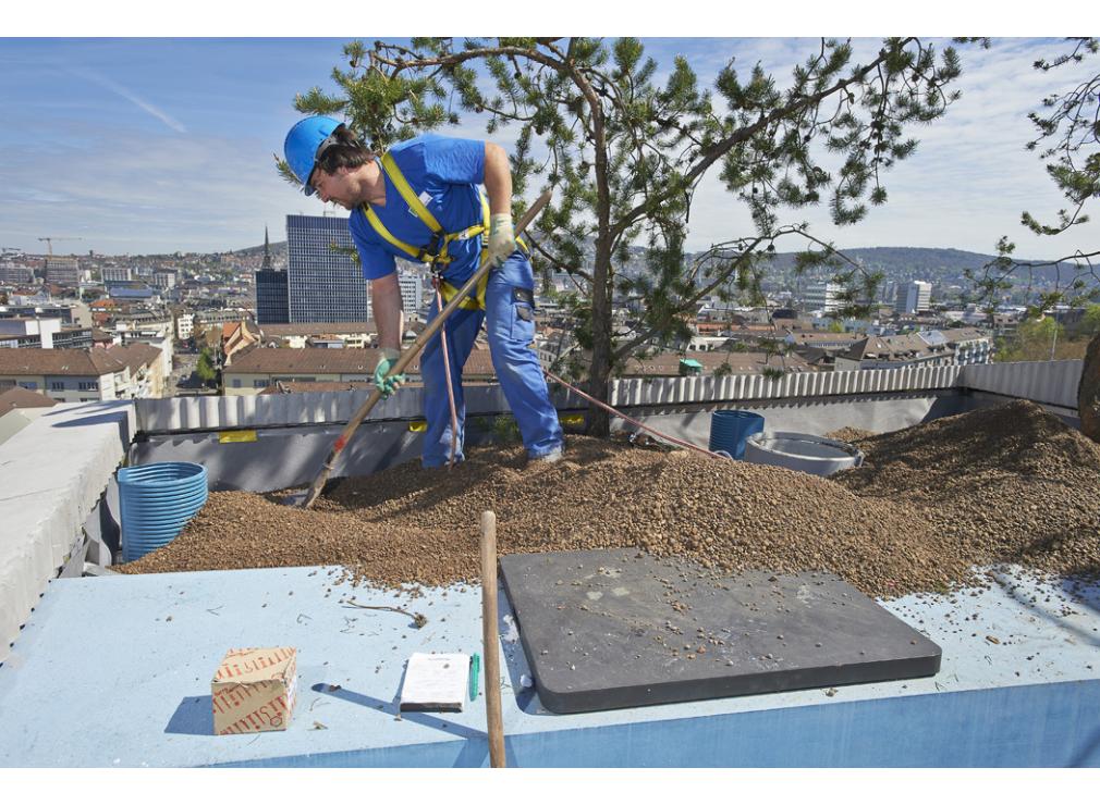 Dachgarten bepflanzen