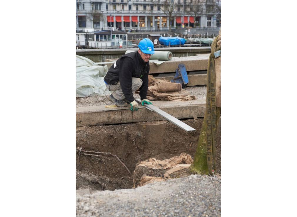 Baum pflanzen Bauschänzli Zürich