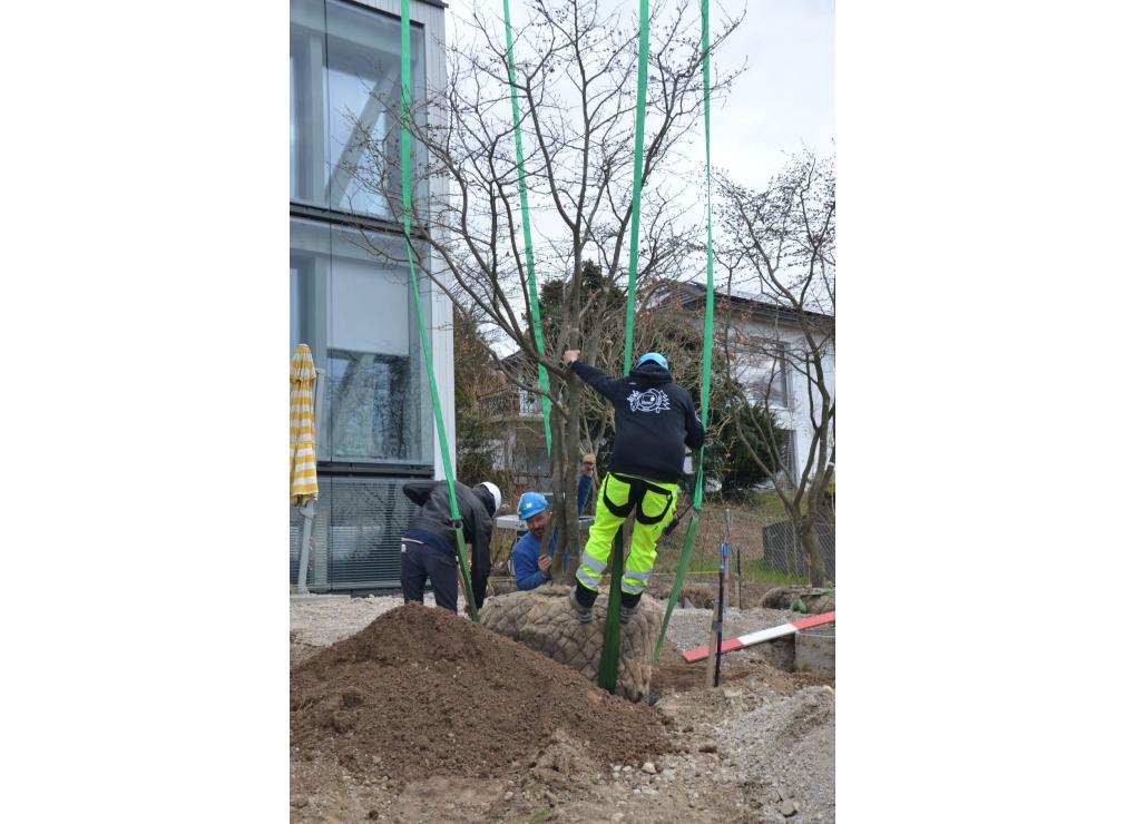 EFH Garten im Furttal