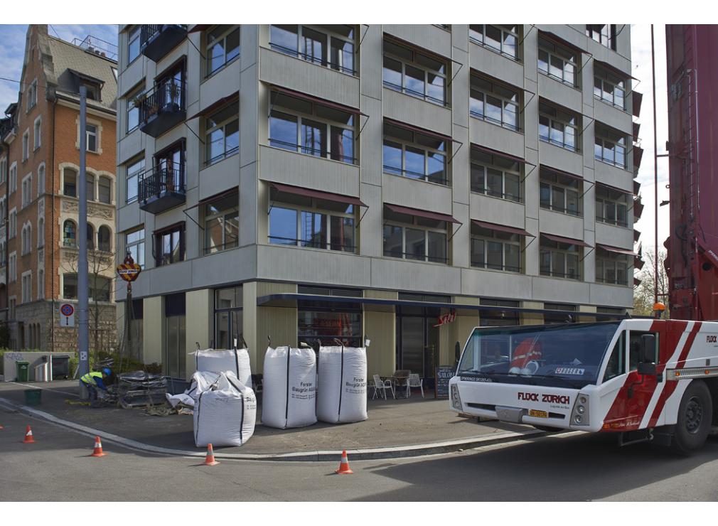 Dachgarten bepflanzen