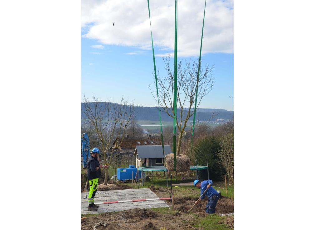 EFH Garten im Furttal