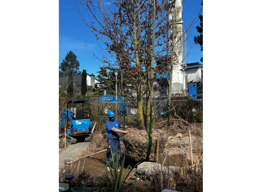 EFH Garten im Furttal