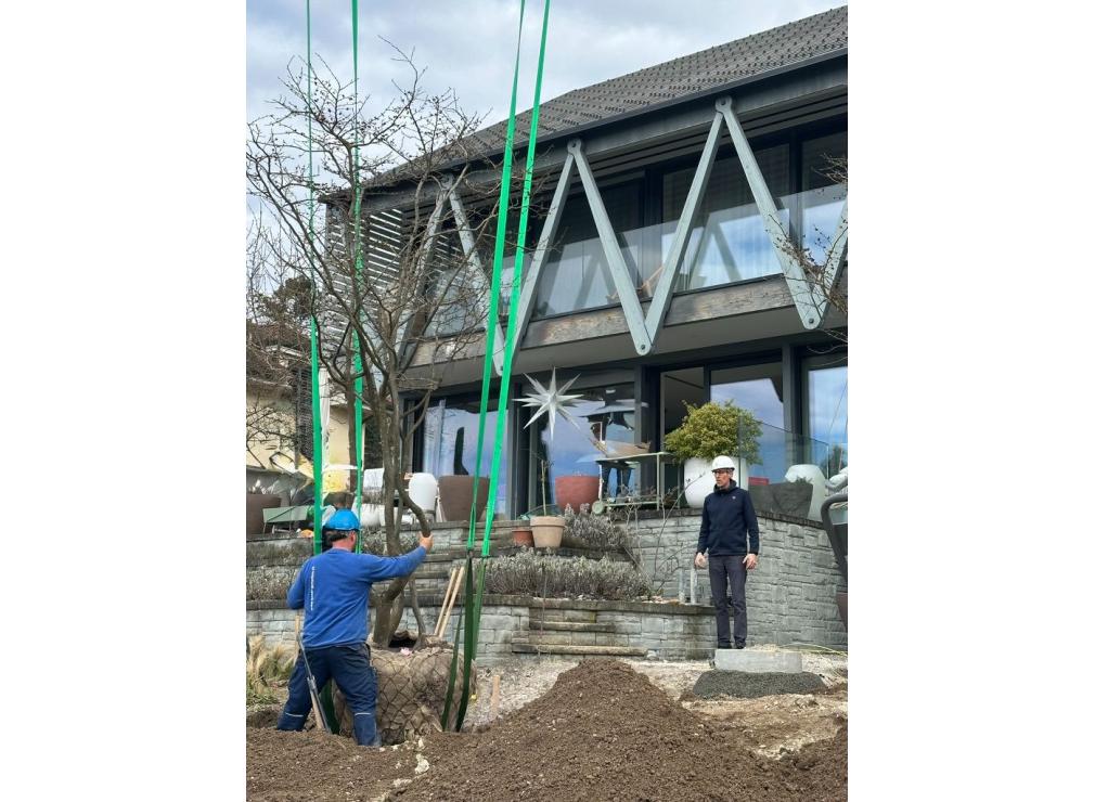 EFH Garten im Furttal