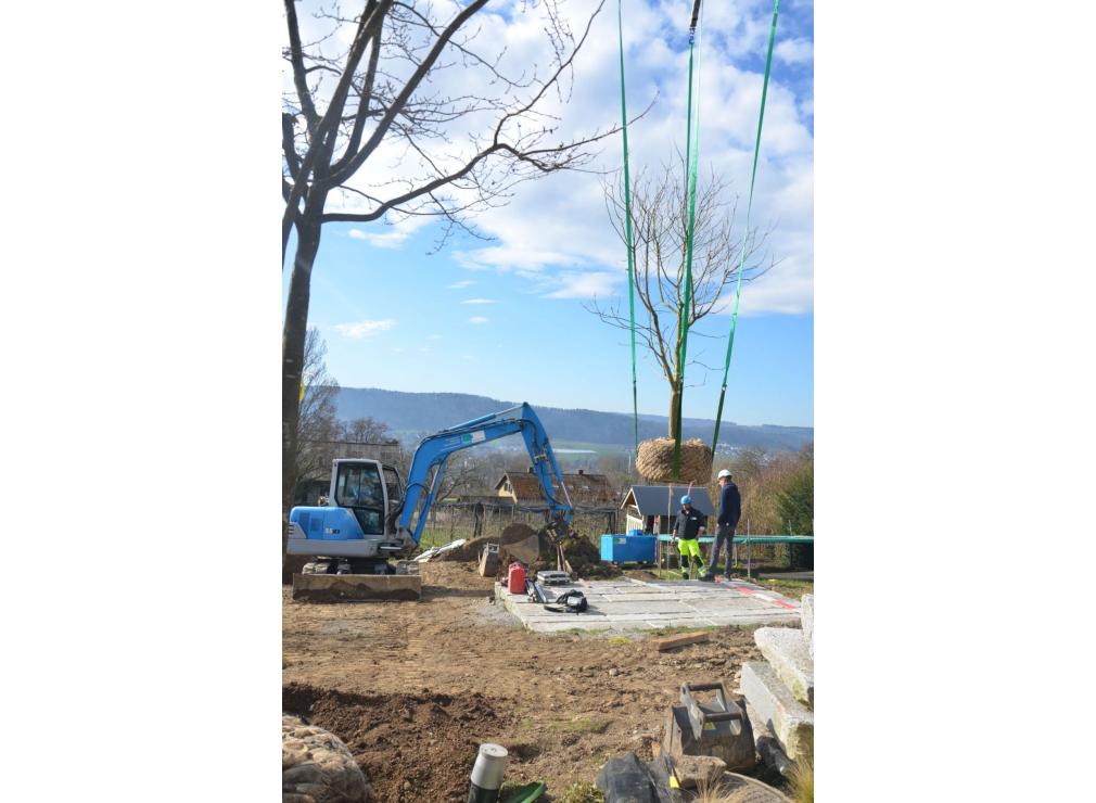 EFH Garten im Furttal