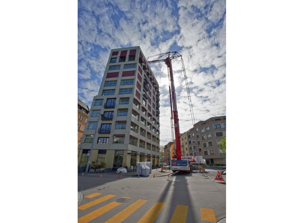 Dachgarten bepflanzen
