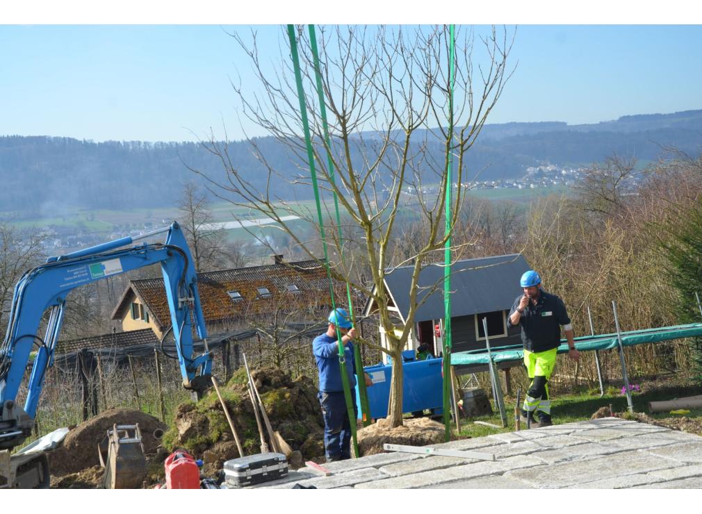 EFH Garten im Furttal