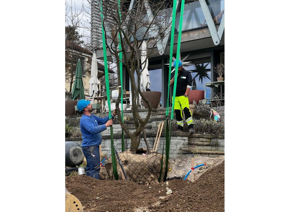 EFH Garten im Furttal