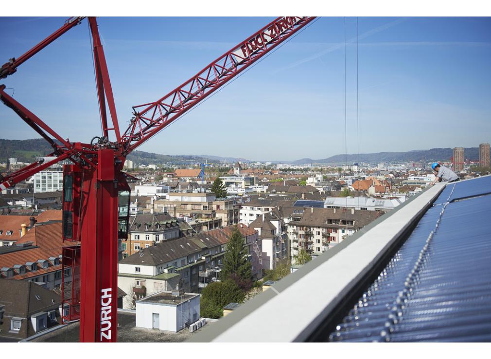 Dachgarten bepflanzen