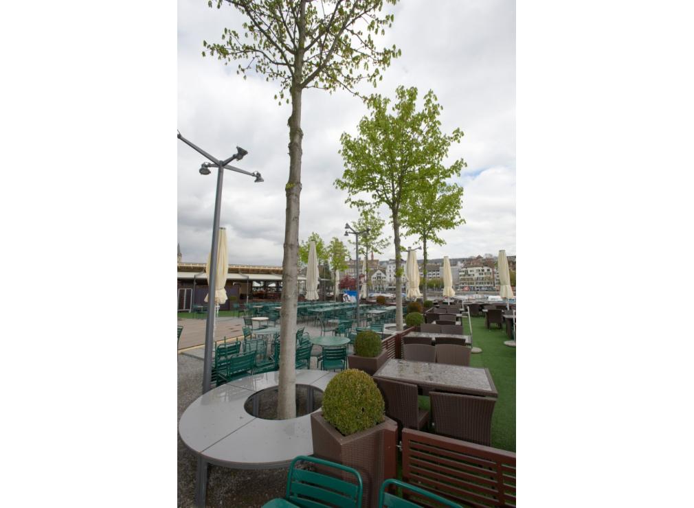 Bauschänzli Zürich nach Sanierung