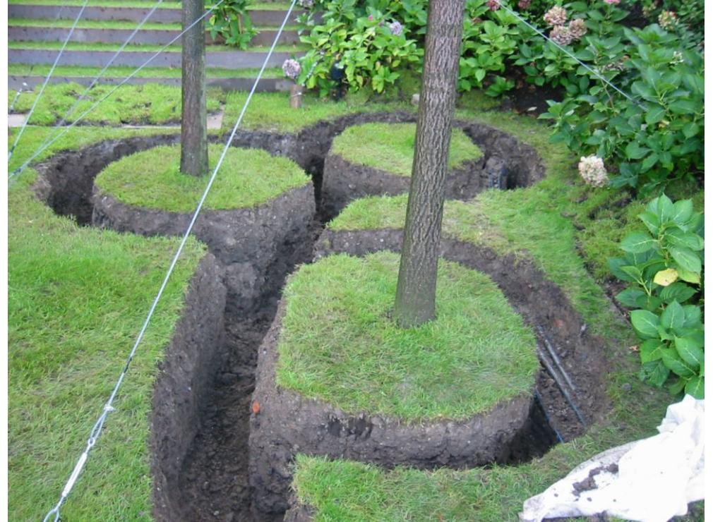 baum_ausgraben.jpg