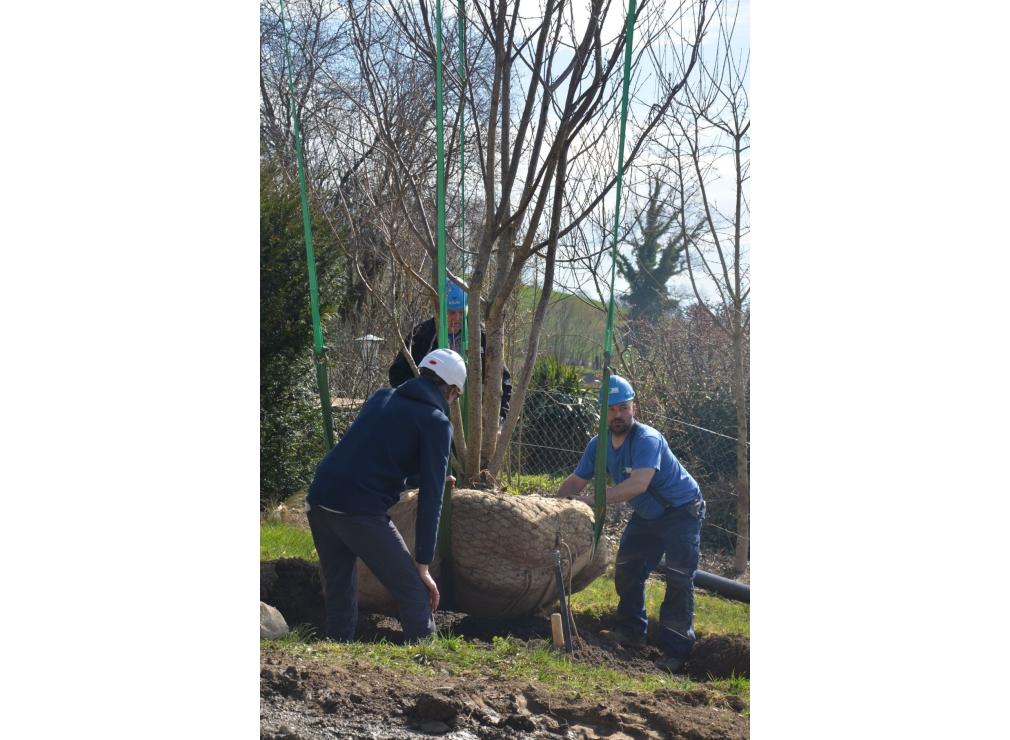 EFH Garten im Furttal