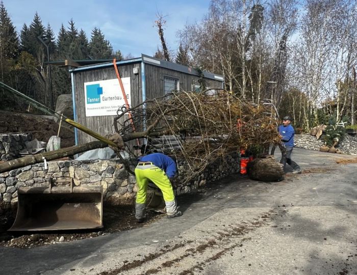 Zoo Zürich, Grosskatzenanlage Panthera