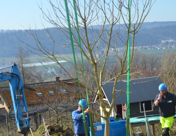 EFH Garten im Furttal